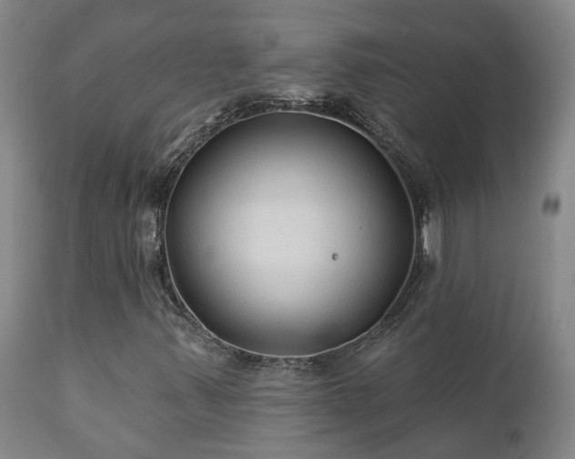 X0000112421347200908211136