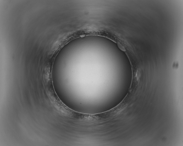 X0000112421348200908211136