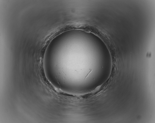 X0000112421349200908211136