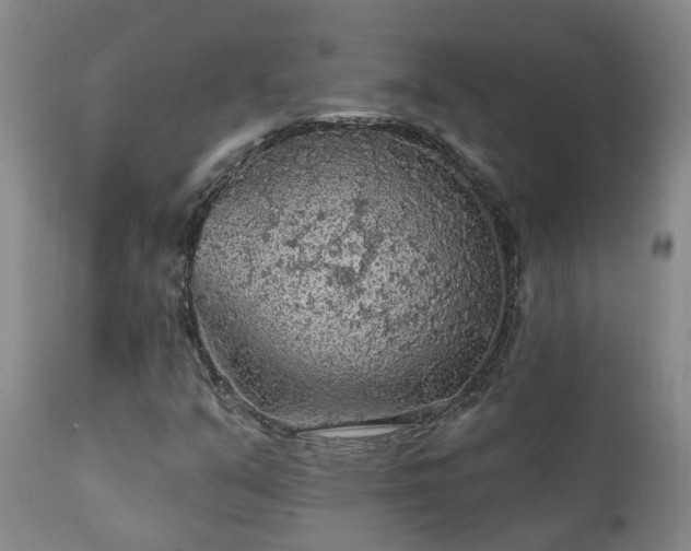 X0000112421351200908211136