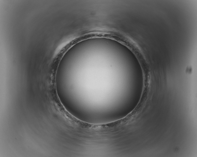 X0000112421352200908211136