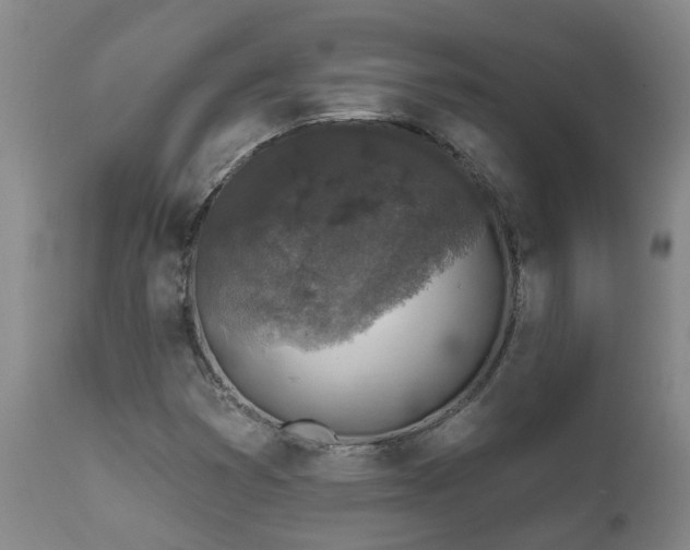 X0000112421353200908211136