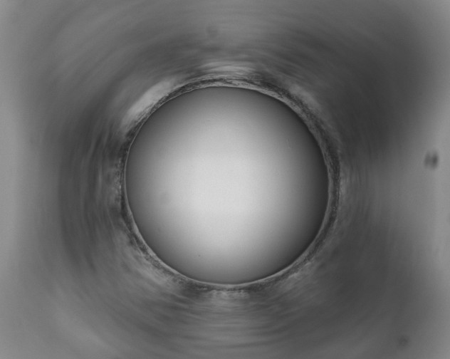 X0000112421354200908211136