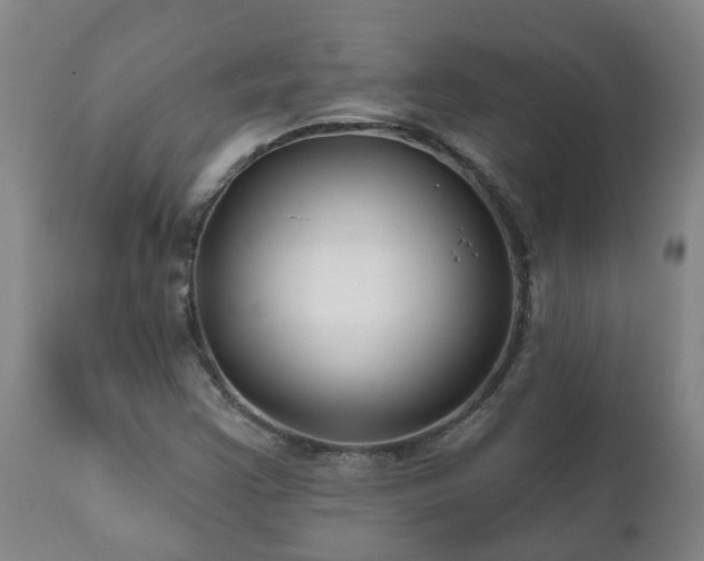 X0000112421355200908211136