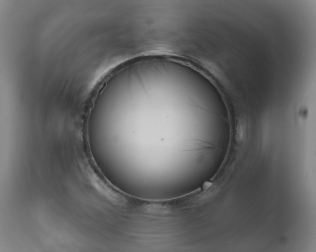 X0000112421356200908211136