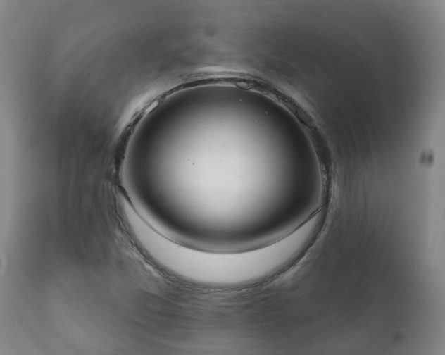 X0000112421357200908211136