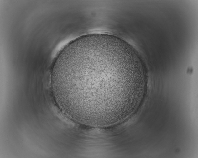 X0000112421358200908211136