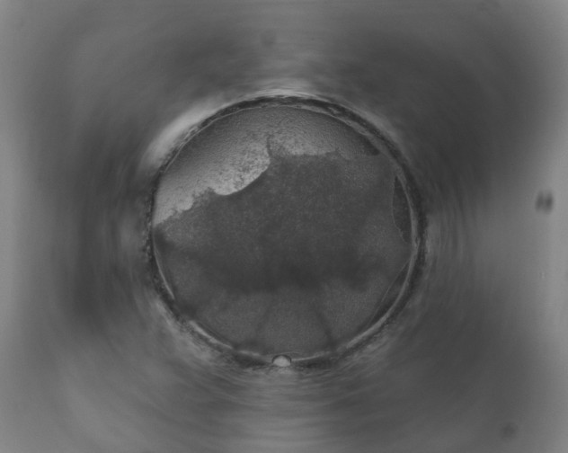 X0000112421359200908211136