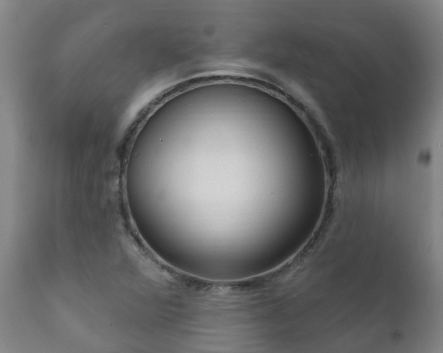 X0000112421360200908211136