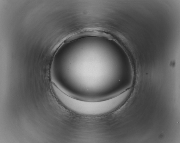 X0000112421361200908211136