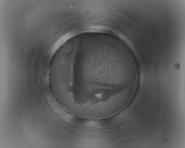 X0000112421362200908211136