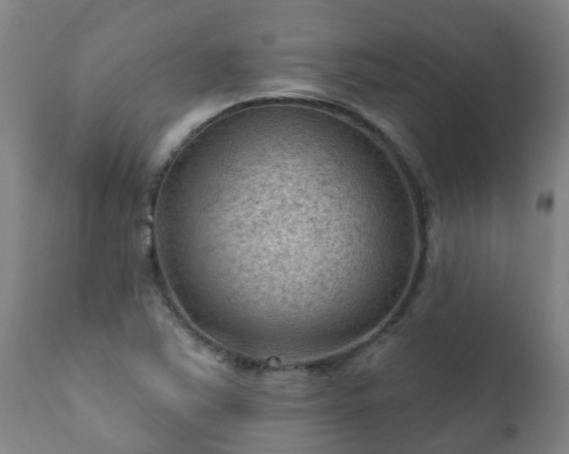 X0000112421363200908211136