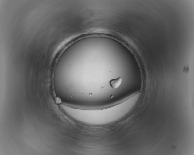 X0000112421364200908211136