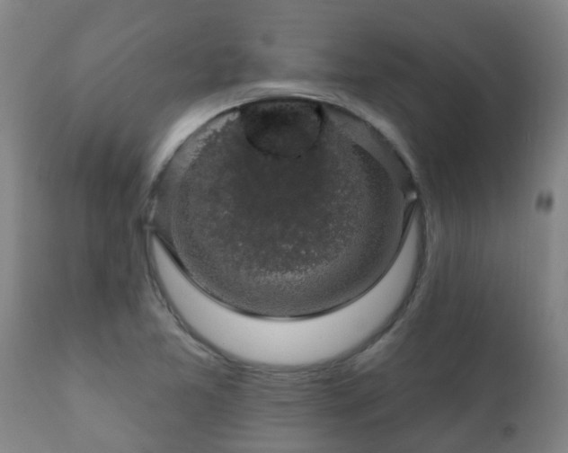 X0000112421365200908211136