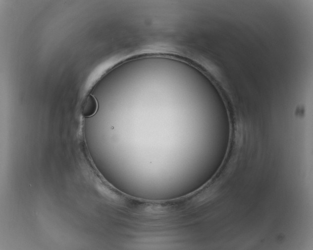 X0000112421366200908211136