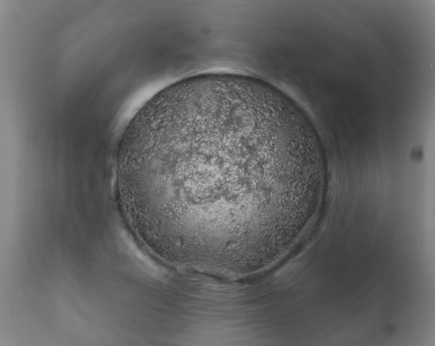 X0000112421367200908211136