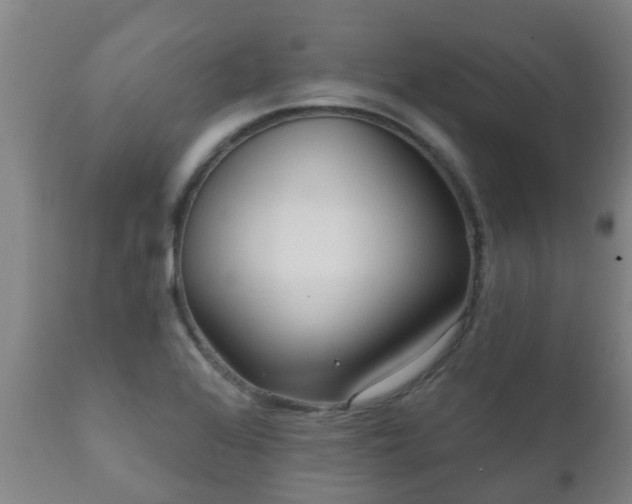 X0000112421368200908211136