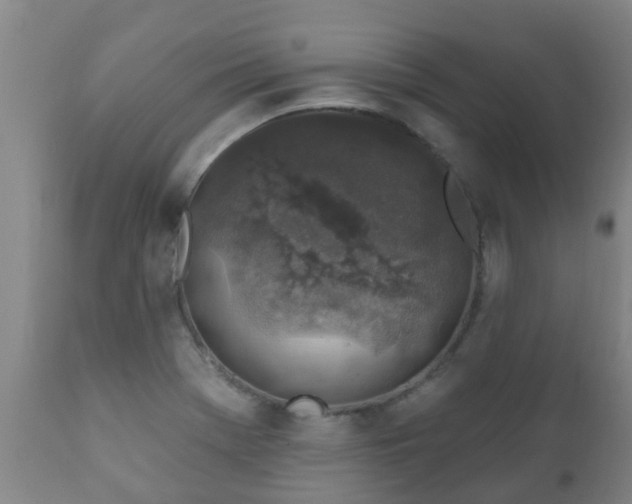 X0000112421369200908211136