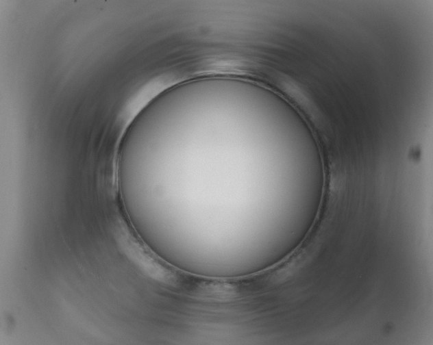 X0000112421370200908211136