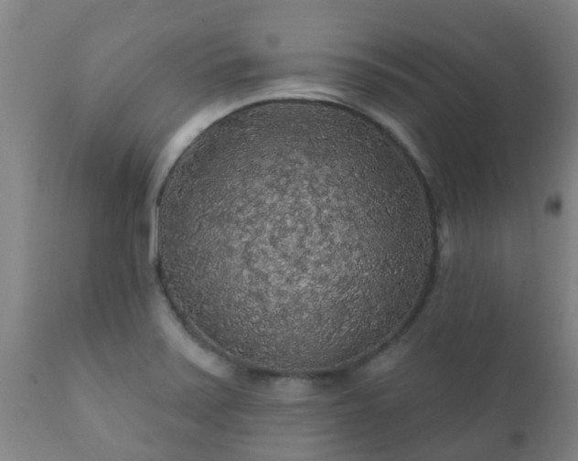 X0000112421371200908211136