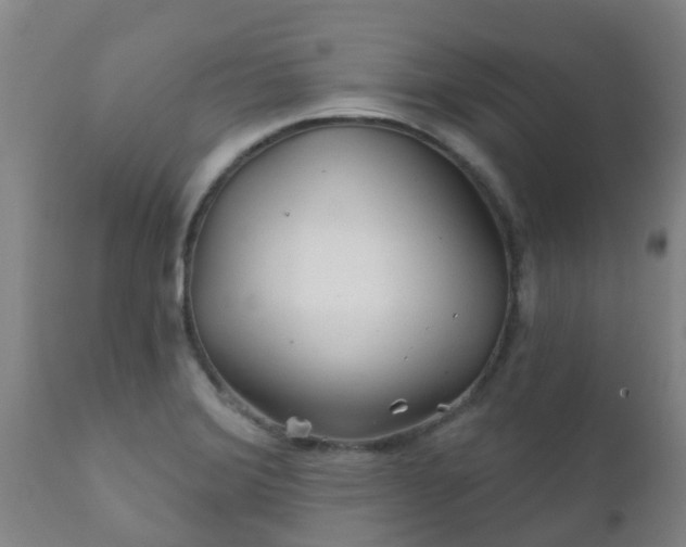 X0000112421372200908211136