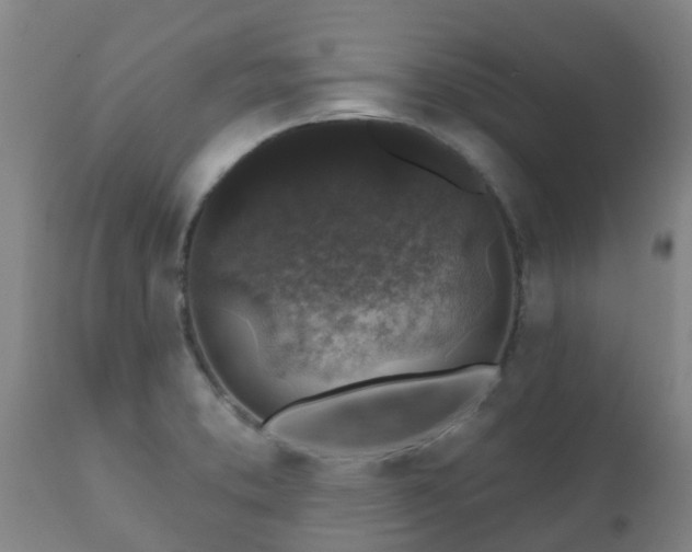 X0000112421373200908211135