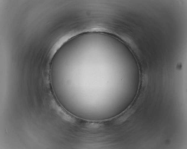 X0000112421374200908211135