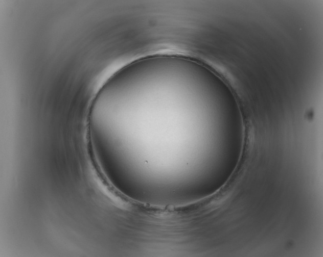 X0000112421375200908211135