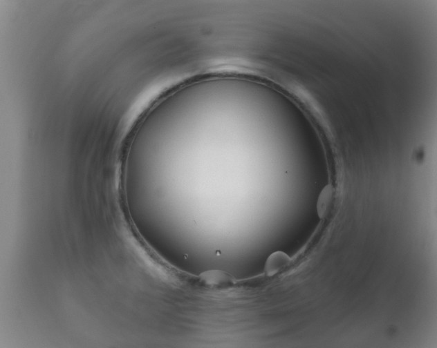 X0000112421376200908211135