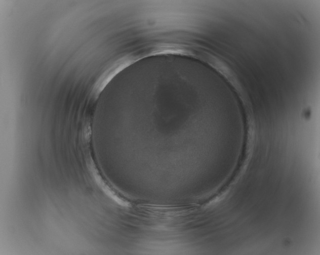 X0000112421377200908211135