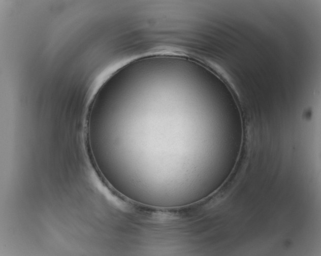 X0000112421379200908211135