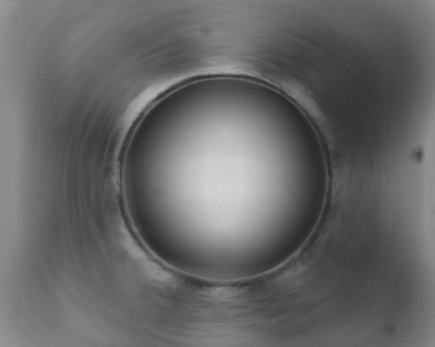 X0000112421380200908211135