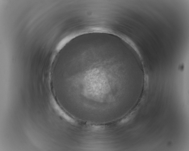 X0000112421381200908211135