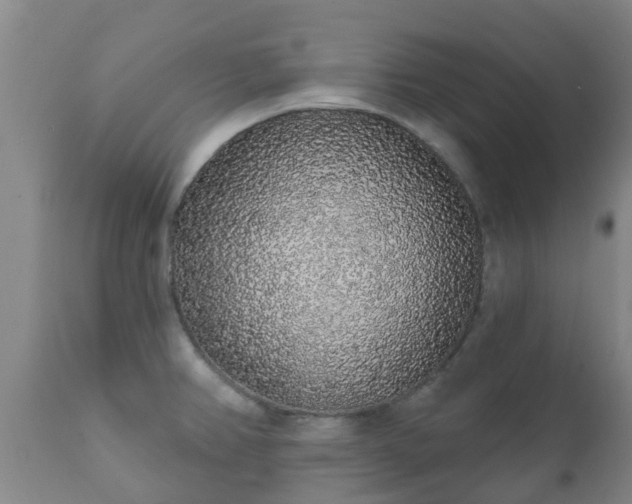 X0000112421382200908211135