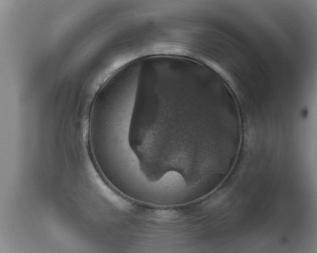 X0000112421383200908211135