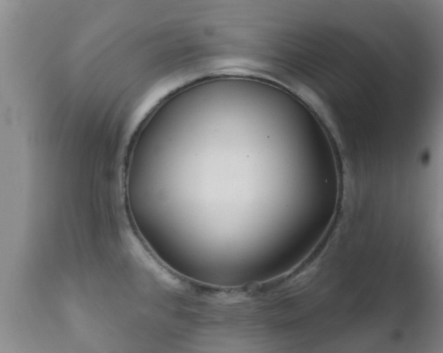 X0000112421384200908211135