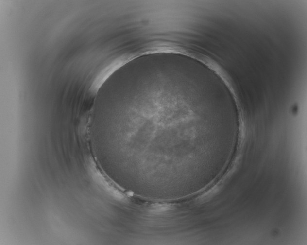 X0000112421385200908211135