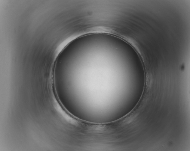 X0000112421387200908211135