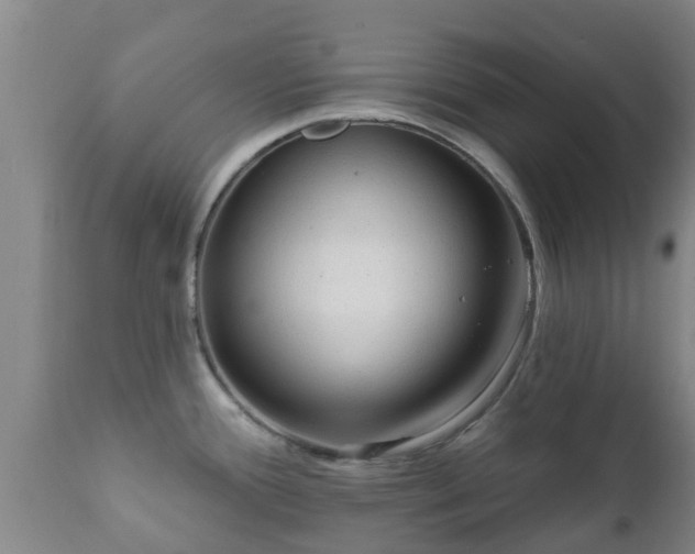 X0000112421388200908211135