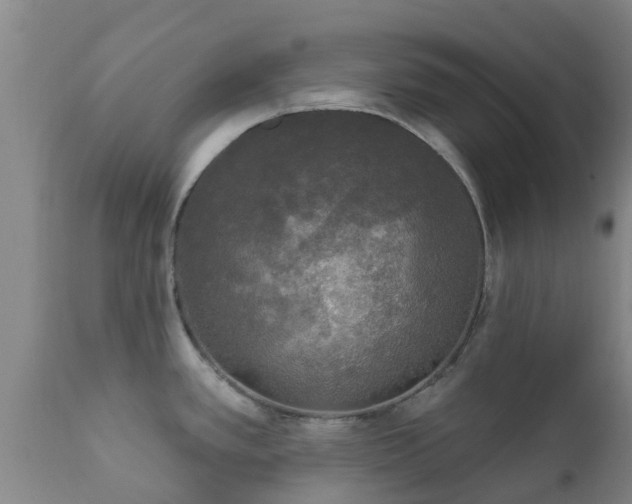 X0000112421389200908211135