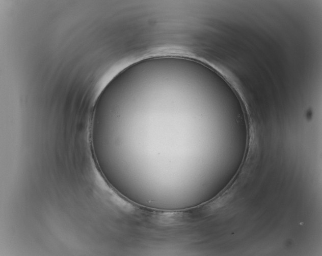 X0000112421390200908211135