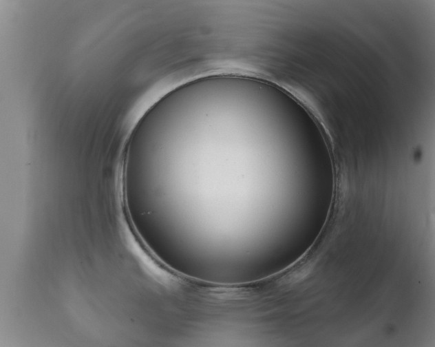 X0000112421391200908211135