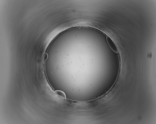 X0000112421392200908211135