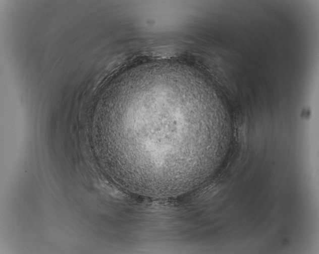 X0000112421393200908211135