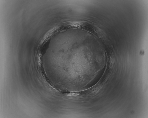 X0000112421394200908211135