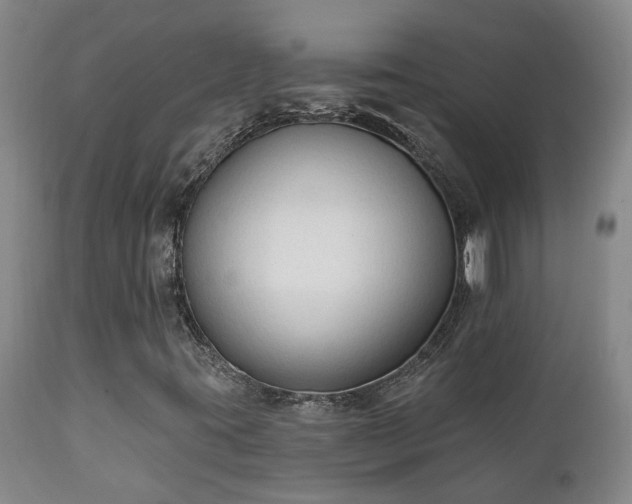 X0000112421395200908211135