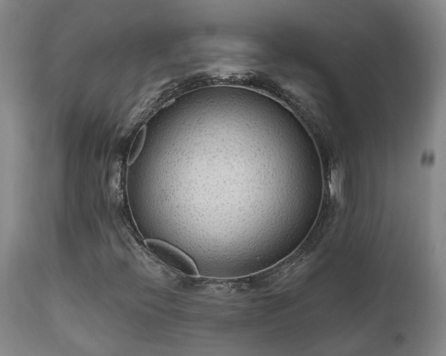 X0000112421396200908211135