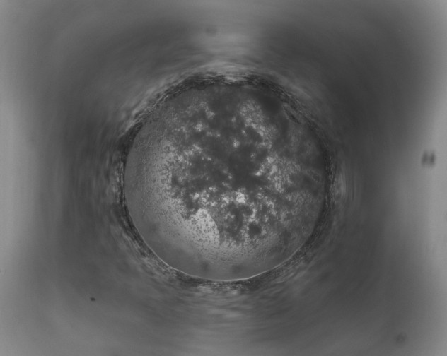 X0000112421397200908211135