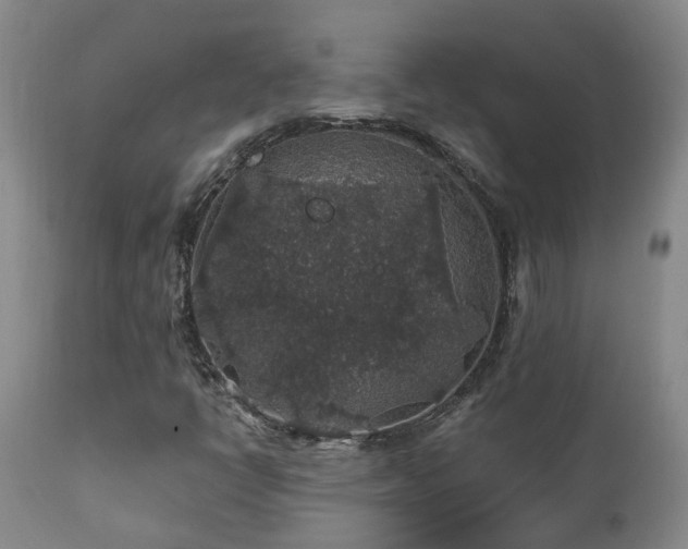 X0000112421398200908211135