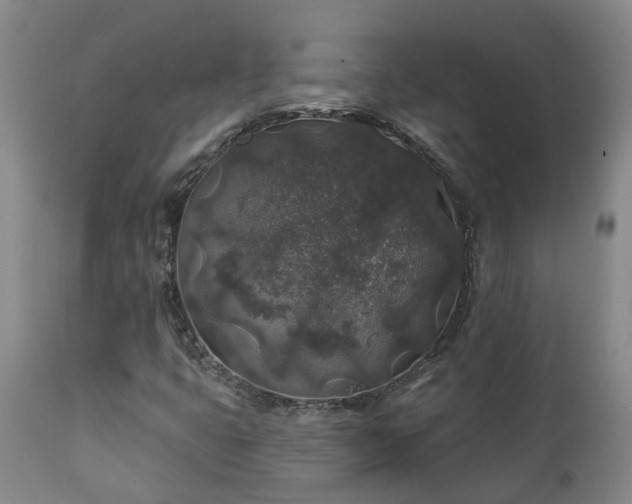 X0000112421399200908211135